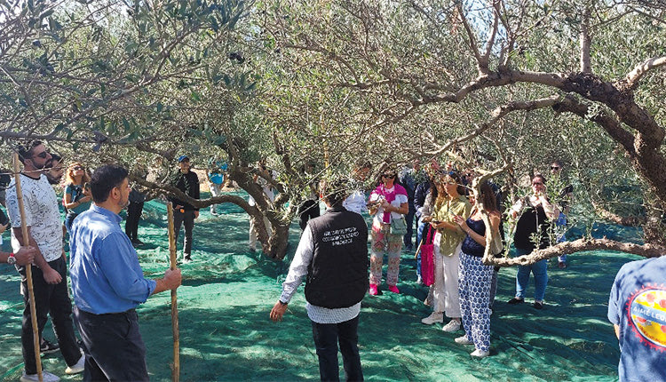  Πρεσβευτές της Κρήτης έγιναν 150 και πλέον συμμετέχοντες 
στο συνέδριο για τον κρητικό τρόπο ζωής