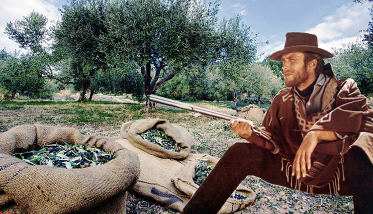 ΑΜΑ ΤΟΥΣ ΒΑΣΤΑ ΝΑ ΣΙΜΩΣΟΥΝ ΕΛΑΙΟΔΕΝΤΡΑ