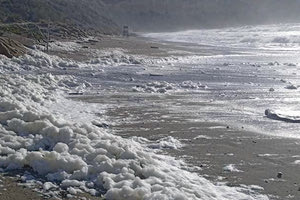 ΑΦΡΟΣ ΣΤΗΝ ΘΑΛΑΣΣΑ ΦΥΣΙΚΟ ΦΑΙΝΟΜΕΝΟ