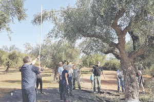 Νέα παράταση στο πρόγραμμα καθόδου 500 ανέργων για το λιομάζωμα στο Ηράκλειο