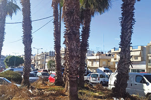 Κοιτάζουμε τον φοίνικα και χάνουμε τα σκουπίδια...