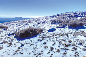 Σαν τα χιόνια!