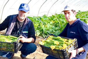 Η πρόληψη και η έγκαιρη διάγνωση θεωρούνται σημαντικά για την αντιμετώπιση του ιού του Νέου Δελχί.