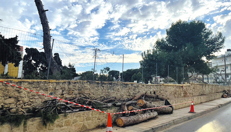 Το Κοιμητήριο του Αγίου Κωνσταντίνου χάνει τη σκιά των πεύκων