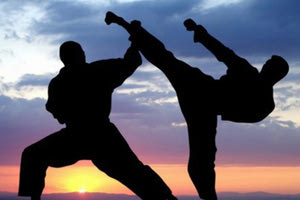 ΠΟΛΕΜΙΚΕΣ ΤΕΧΝΕΣ ΖΙΟΥ ΖΙΤΣΟΥ ΚΑΡΑΤΕ