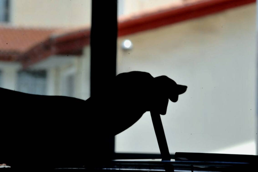 Δύσκολα τα πράγματα για τον ΣΥΡΙΖΑ του Κασσελάκη
