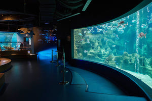  Κλειστό τη Δευτέρα το Ενυδρείο Κρήτης