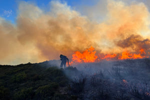 Τον Αύγουστο που  μου χρωστάς τον  περιμένω ακόμα…