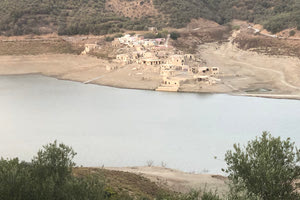 Σφενδύλι: Η αποκάλυψη και ο ουρανός σφοντύλι!