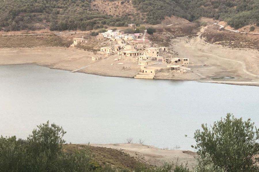 Σφενδύλι: Η αποκάλυψη και ο ουρανός σφοντύλι!
