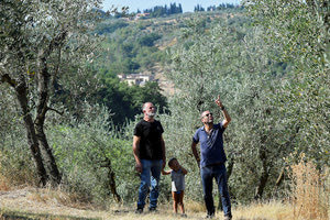 Οι Ιταλοί βρήκαν τη λύση για το λιομάζωμα!