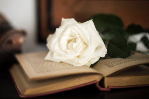 αθλητικό πρωτοσέλιδο