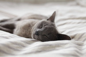 Όλες οι αργίες και τα τριήμερα του δίσεκτου 2024