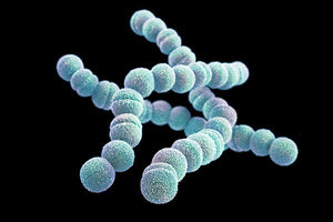 Στρεπτοκοκκική αμυγδαλίτιδα