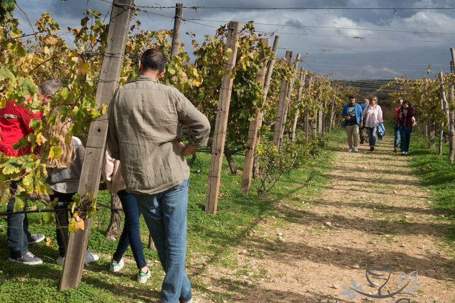 Γιορτάζεται στην Κρήτη η Παγκόσμια Ημέρα Οινοτουρισμού