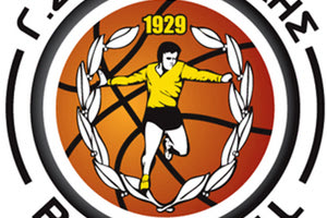 ΕΡΓΟΤΕΛΗΣ ΜΠΑΣΚΕΤ ΣΗΜΑ