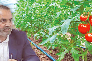 Ο Μανόλης Ορφανουδάκης