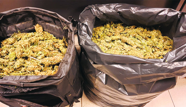 Το φορτίο με τα 13 κιλά χασίς, δύο ενοχές με ελαφρυντικά και μία αθώωση