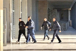 ΦΡΙΚΗ ΣΤΗ ΘΕΣΣΑΛΟΝΙΚΗ Κακουργηματική δίωξη στον ιδιοκτήτη των τσοπανόσκυλων