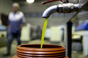 ΕΝΑ ΑΚΟΜΑ ΕΜΠΟΔΙΟ ΓΙΑ ΤΟ ΛΑΔΙ Το φθηνό φυτοφάρμακο «συρρικνώνει» κι άλλο την μικρή παραγωγή