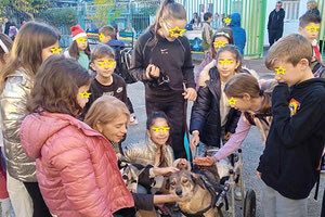Μαθητές του 14ου Δημοτικού έμαθαν για την Ενσυναίσθηση και τα Ζώα