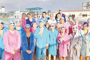 Η ομάδα προαγωνιστικών κατηγοριών των Δελφινιών