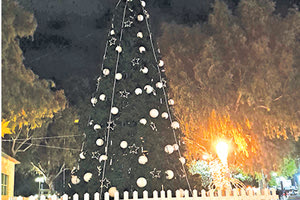 ΧΡΙΣΤΟΥΓΕΝΝΑ ΧΡΙΣΤΟΥΓΕΝΝΙΑΤΙΚΟ ΔΕΝΤΡΟ ΗΡΑΚΛΕΙΟ