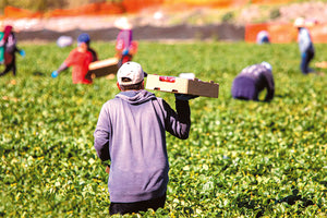 ΜΕ ΤΡΟΠΟΛΟΓΙΑ ΤΗΣ ΚΥΒΕΡΝΗΣΗΣ Νομιμοποίηση μεταναστών από τρίτες χώρες για εργατικά χέρια