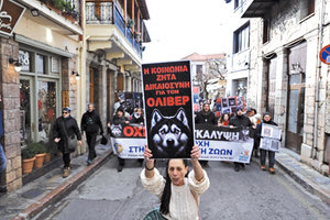 Θάνατος xάσκι: “Ξέρουμε το όνομα του δράστη, θα εκπλαγείτε” λέει η Πουλτίδου