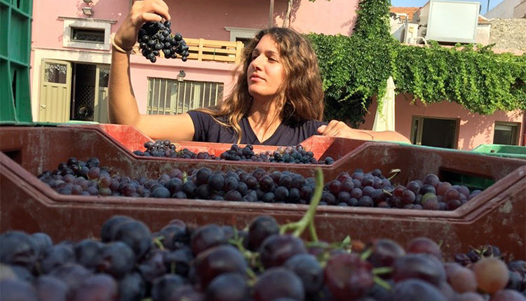 “Το κρασί δεν είναι ένα μοναχικό προϊόν”