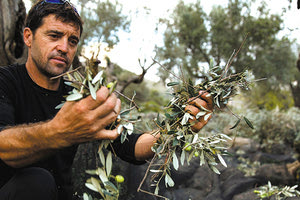 Οι μισές επιδοτήσεις στη χώρα συνδέονται με οικολογικά σχήματα