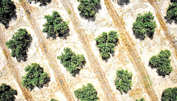 Οι μισές επιδοτήσεις στη χώρα συνδέονται με οικολογικά σχήματα