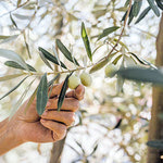 Δείτε όλα τα άρθρα από το χρήστη ΕΦΗΜΕΡΙΔΑ ΠΑΤΡΙΣ