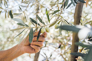 Έντονη κριτική αναφορικά με τον ΟΠΕΚΕΠΕ ασκεί στην κυβέρνηση ο ΣΥΡΙΖΑ