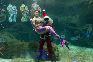 Ο υποβρύχιος Αη Βασίλης και η γοργόνα στο Ενυδρείο Κρήτης!