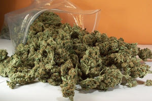 Βρήκαν κάνναβη στο σπίτι του 23χρονου