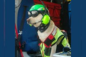 «Αντίο συνάδελφε»! Οι πυροσβέστες αποχαιρετούν με θλίψη τον Max