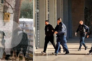 Στον ανακριτή ο ιδιοκτήτης των σκύλων που κατασπάραξαν την 50χρονη