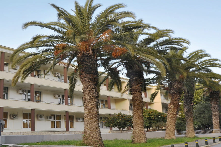 Στο πλευρό του παιδιού τους οι γονείς της 17χρονης που υπέστη ανακοπή μετά από αλλεργικό σοκ – Έχει εκτεταμένο οίδημα στον εγκέφαλο