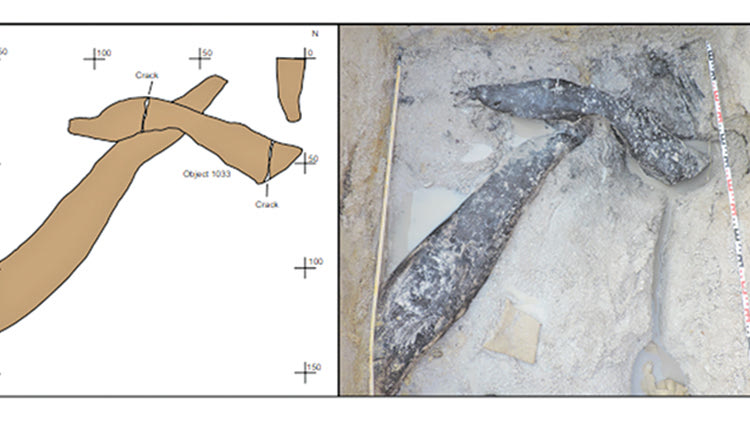 Η αρχαιότερη ξύλινη κατασκευή 476.000 ετών ανακαλύφθηκε στη Ζάμπα