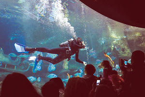 Στο Ενυδρείο Κρήτης-CRETAquarium!