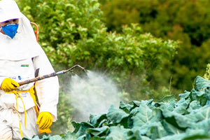 Σε ποια τρόφιμα εντοπίστηκαν υπολείμματα φυτοφαρμάκων