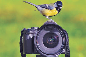 ΓΙΑ ΜΑΘΗΤΕΣ ΓΥΜΝΑΣΙΟΥ-ΛΥΚΕΙΟΥ ΑΠΟ ΤΟ ΜΦΙΚ ΚΑΙ ΤΟ ΙΔΡΥΜΑ ΛΕΒΕΝΤΗ Διαγωνισμός ζωγραφικής και φωτογραφίας με… φτερά