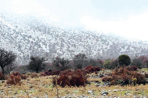 Επιτέλους, λίγος …χειμώνας