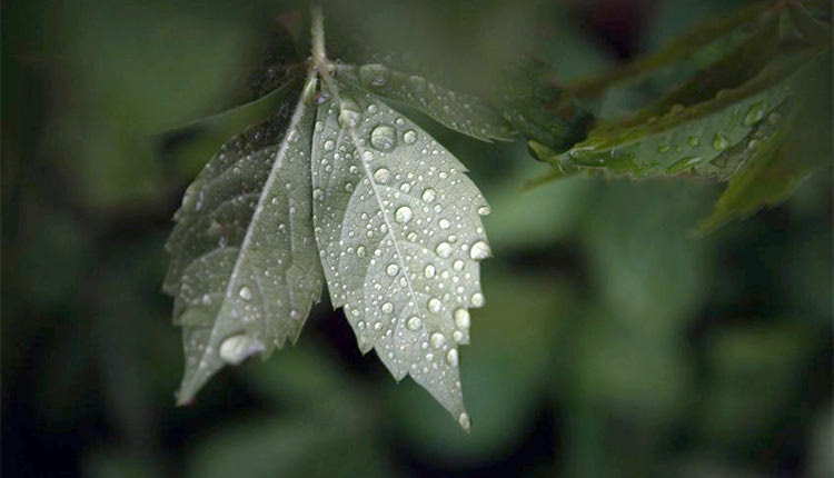 ΕΝΟΨΕΙ ΤΗΣ ΑΝΟΜΒΡΙΑΣ 
Ενεργοποιούνται όλες οι γεωτρήσεις!