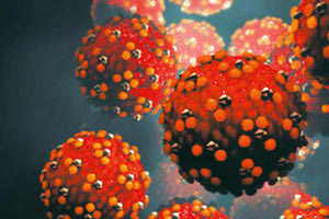 ΕΠΙΔΗΜΙΑ ΙΟΣ ΙΛΑΡΑ