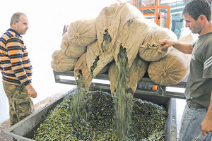 Μηδενικές εμπορικές πράξεις για το ελαιολάδο