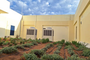 Η πρώτη πράσινη στέγη βρίσκεται στο Πολυτεχνείο Κρήτης