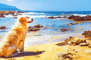 «Καλό ταξίδι, Prince, φεύγοντας πήρες μαζί και την καρδιά μας»