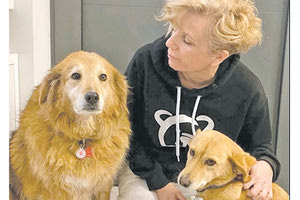 Η κ. Μαρία Πολυχρονάκη και ο σύζυγός της έχουν υιοθετήσει 2 αδεσποτάκια